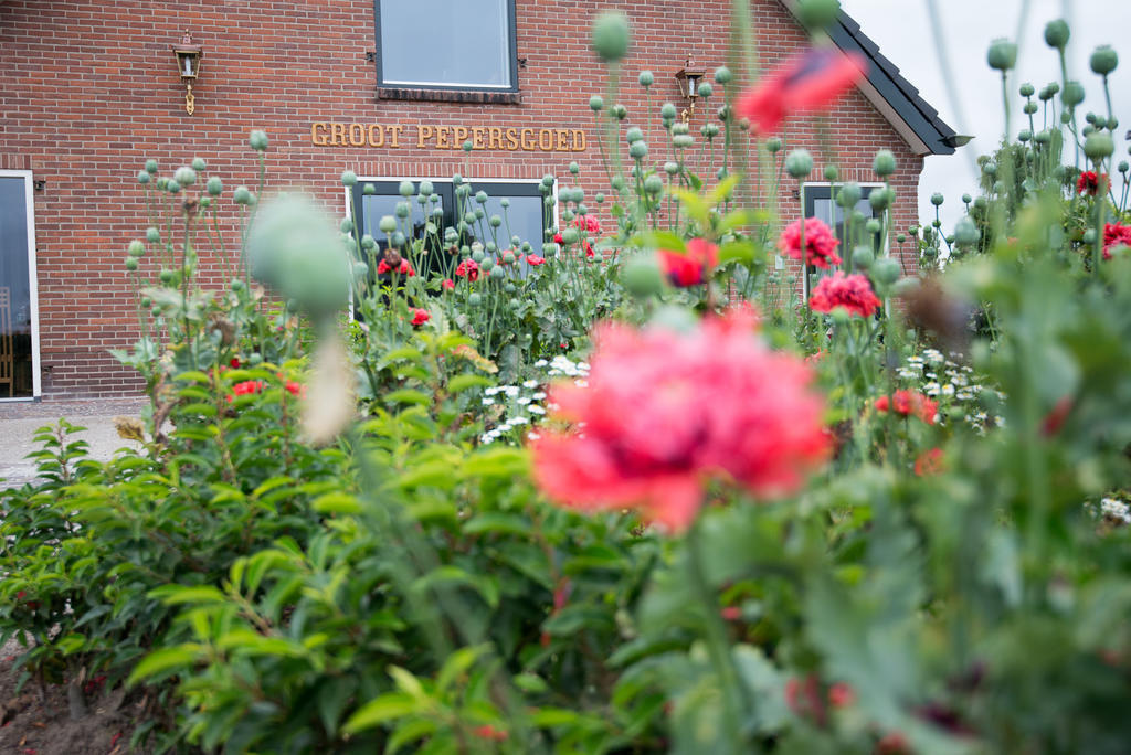 B&B Groot Pepersgoed Hoevelaken Eksteriør billede